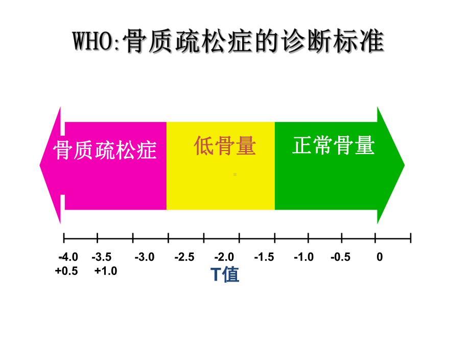 骨质疏松性骨折及其药物治疗课件.ppt_第3页