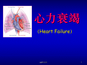 心力衰竭完整(经典)课件.ppt