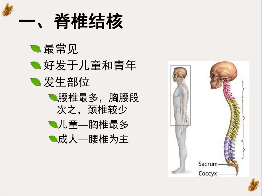 骨关节结核课件讲义.ppt_第3页