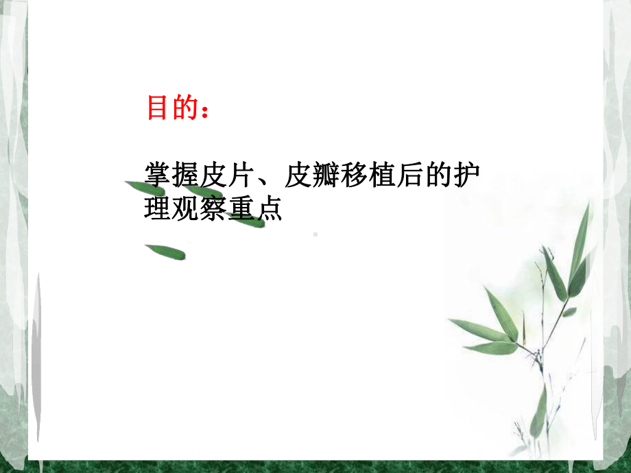 骨科恶性黑色素瘤植皮术后护理查房课件.ppt_第2页