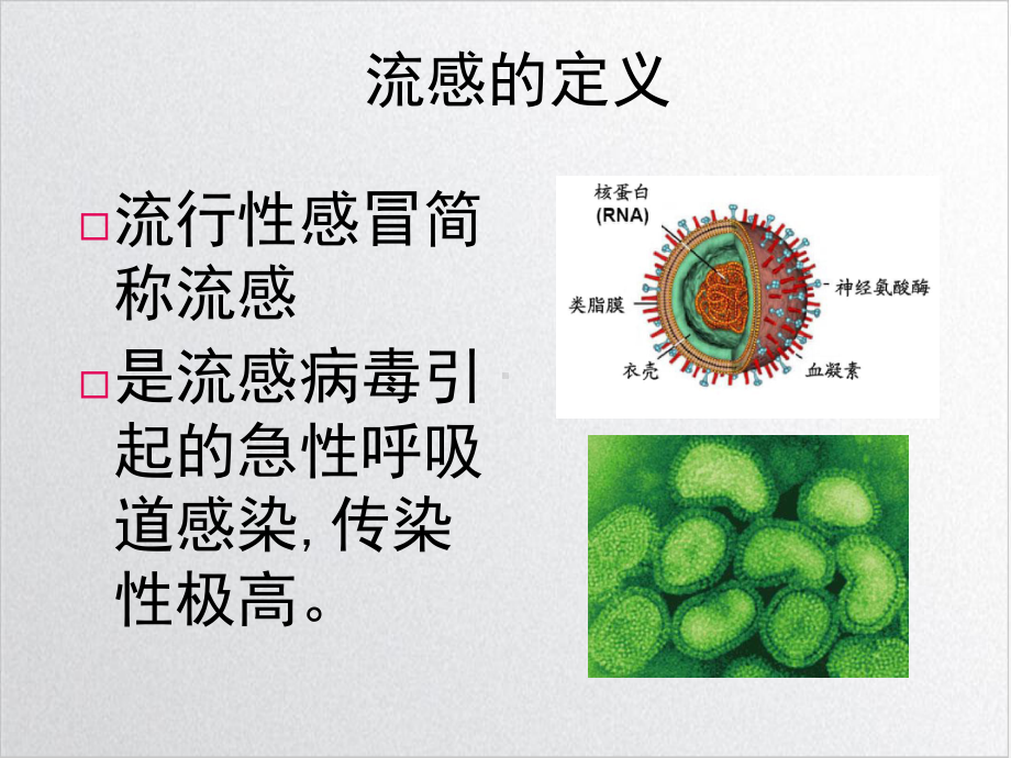 预防流感教学课件.ppt_第3页