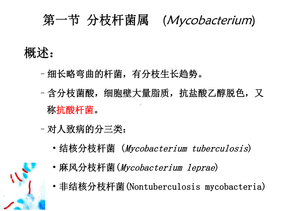 最新呼吸道感染的细菌课件.ppt_第2页