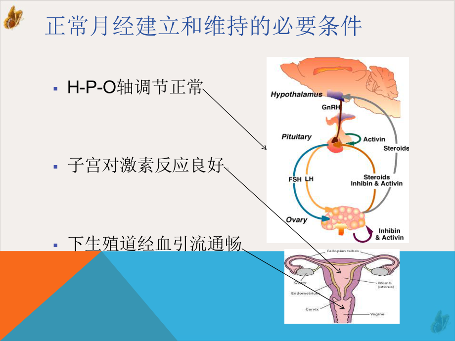 闭经的诊断和治疗课件整理.pptx_第1页