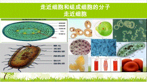 高考一轮复习《第一讲走近细胞》同步课件.ppt