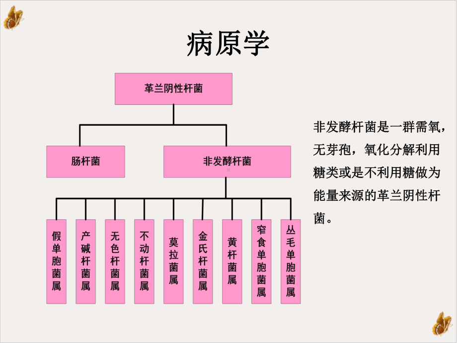 鲍曼不动杆菌课件.pptx_第2页