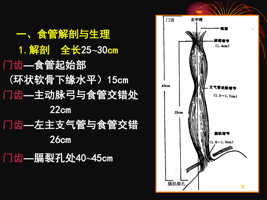 食管癌国内分布情况课件.ppt_第3页