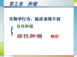 大连医科大学病理学(参考课件).ppt