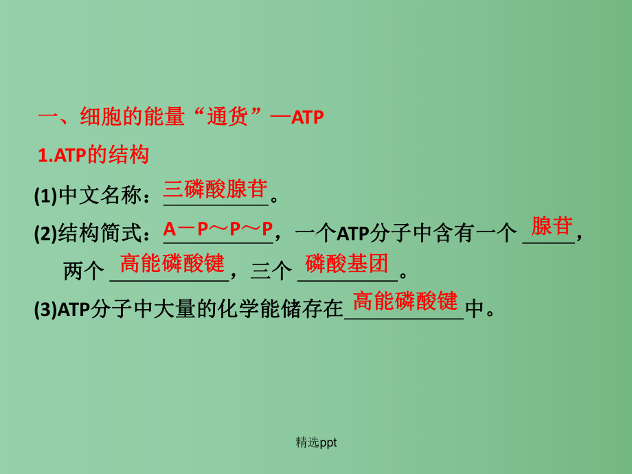 高中生物-细胞的能量“通货”—ATP-ATP的主要来源—细胞呼吸课件.ppt_第3页