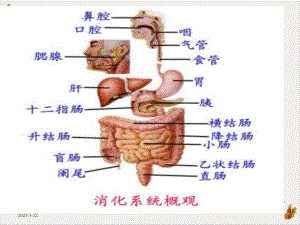 食管癌诊治指南课件.pptx