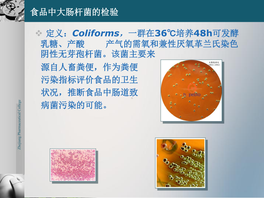 食品有害微生物检测与控制大肠杆菌PPT课件.pptx_第2页