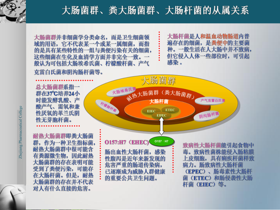 食品有害微生物检测与控制大肠杆菌PPT课件.pptx_第3页