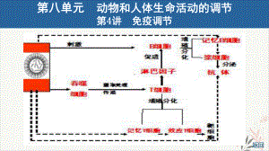 免疫调节教学课件2021届高考生物一轮复习.ppt