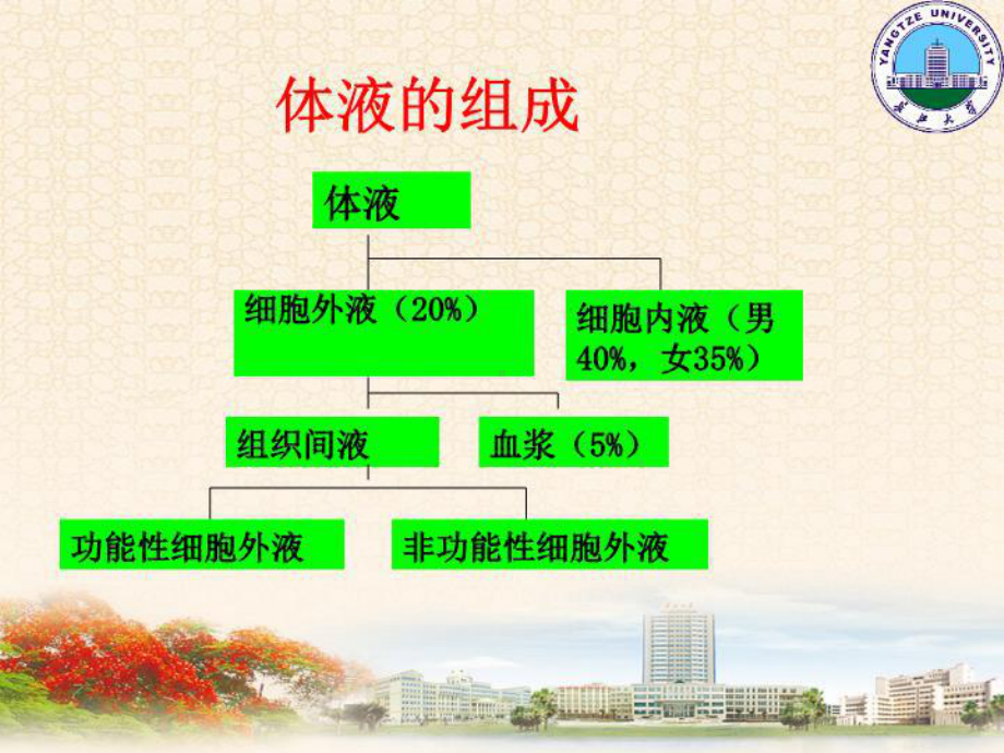 最新三章节外科病人体液失调课件.ppt_第3页