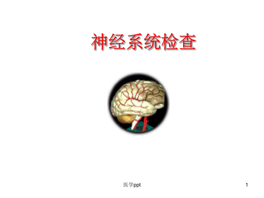 诊断学神经系统体格检查课件.pptx_第1页