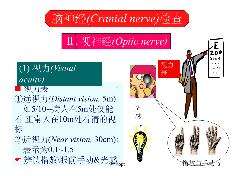 诊断学神经系统体格检查课件.pptx_第3页