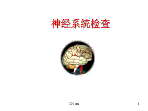 诊断学神经系统体格检查课件.pptx