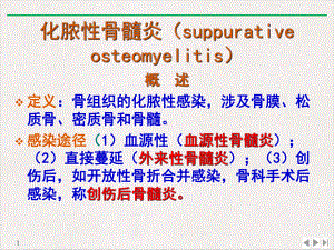 骨关节化脓性感染全解课件.pptx