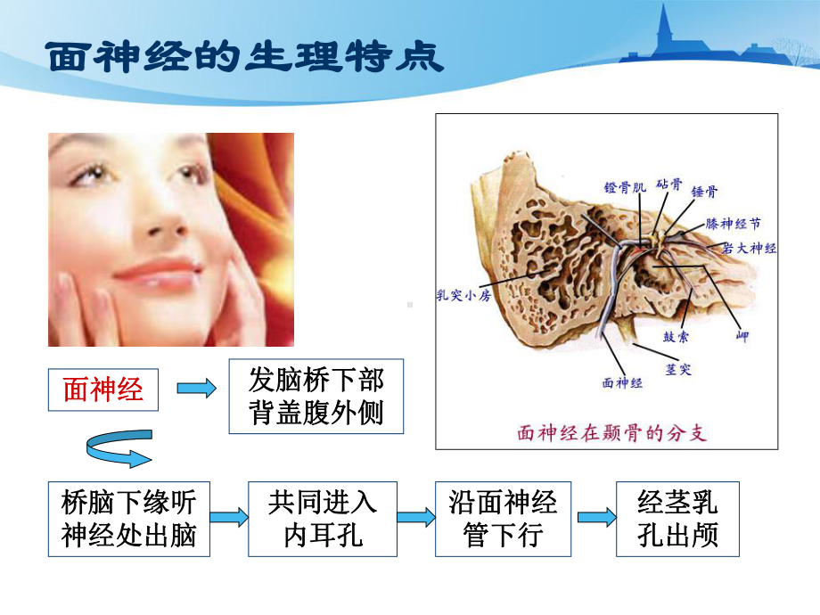 面神经炎中医治疗课件.ppt_第3页