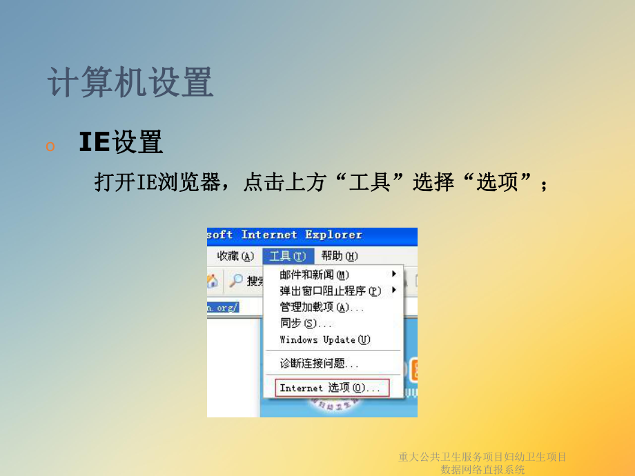 重大公共卫生服务项目妇幼卫生项目数据网络直报系统课件.ppt_第3页