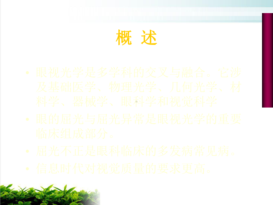 屈光与屈光不正斜视课件.ppt_第2页