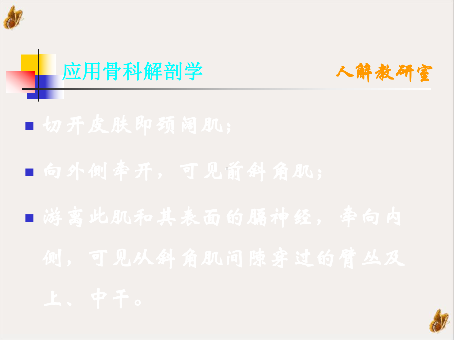 骨科手术的解剖基础手术显露神经血管教材课件.pptx_第2页