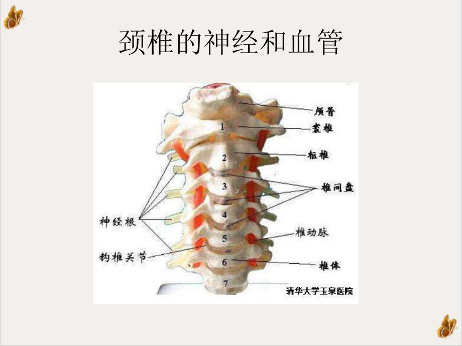 颈腰椎病的防治措施课件.pptx_第3页