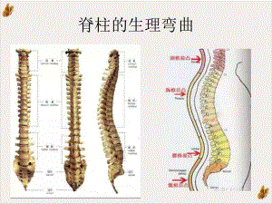 颈腰椎病的防治措施课件.pptx