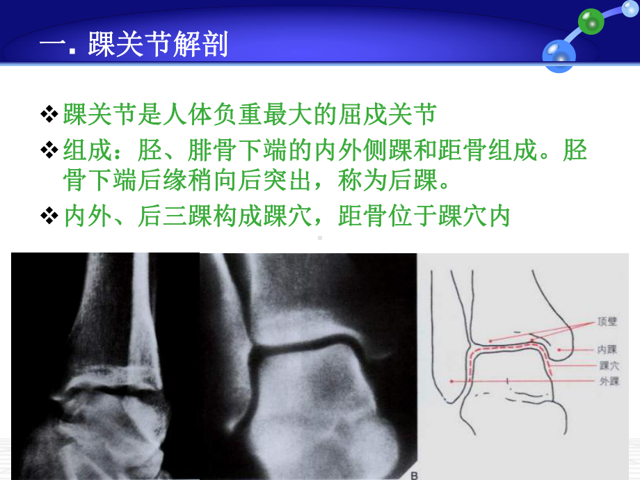 踝关节损伤LaugeHansen分型公开课课件.pptx_第1页