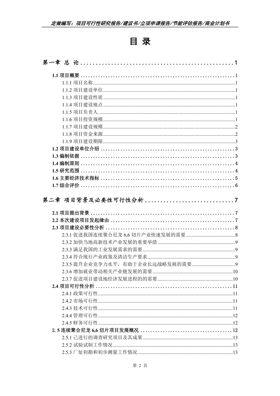 连续聚合尼龙6,6切片项目可行性报告（写作模板）.doc_第2页