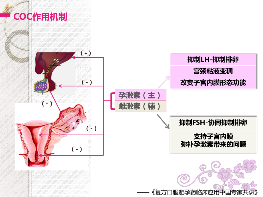 雌孕激素制剂在妇科疾病中的应用课件.pptx_第3页