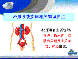 泌尿系统疾病常见症状及护理课件.pptx