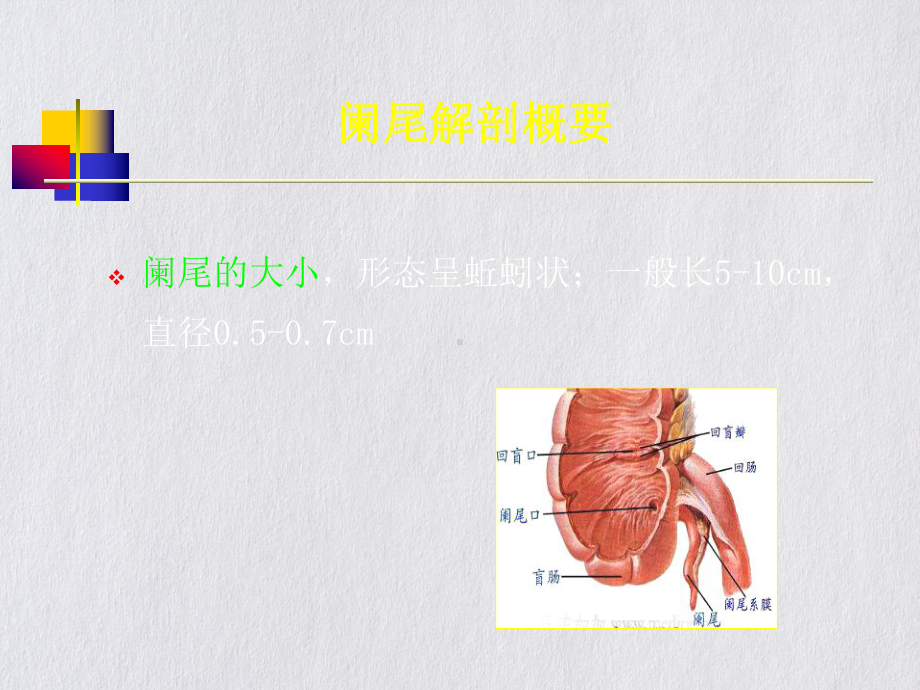 阑尾炎超声诊断讲课课件.pptx_第3页