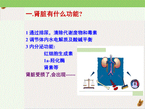 浅谈高磷及高PTH血症诊治进展课件.pptx