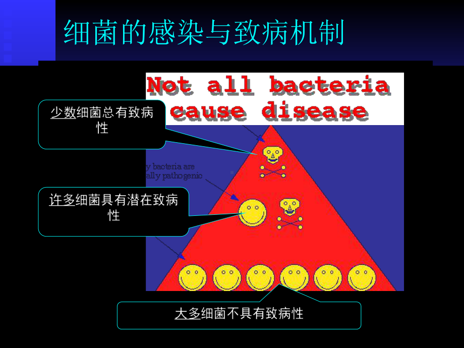 医学消毒与灭菌-9595课件.ppt_第2页