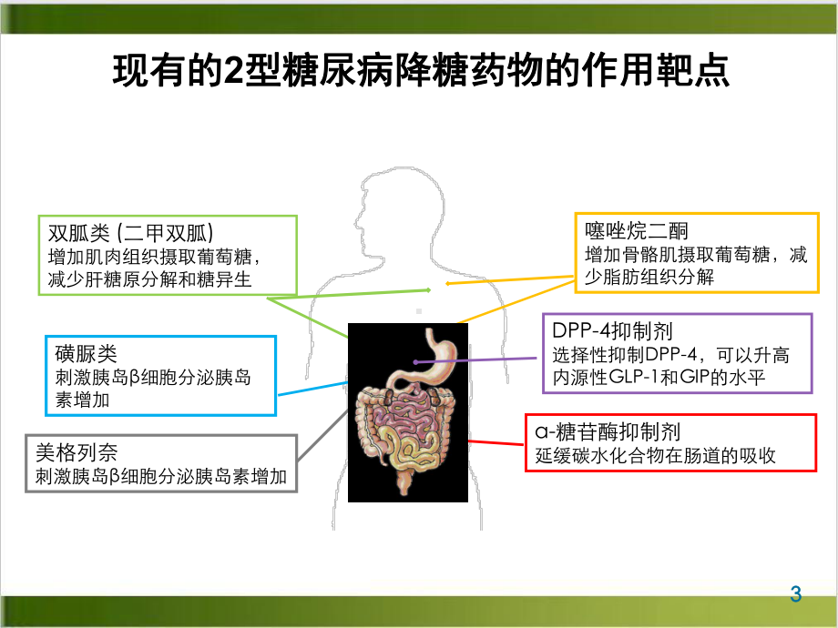 进阶糖尿病的口服药物课件.ppt_第3页