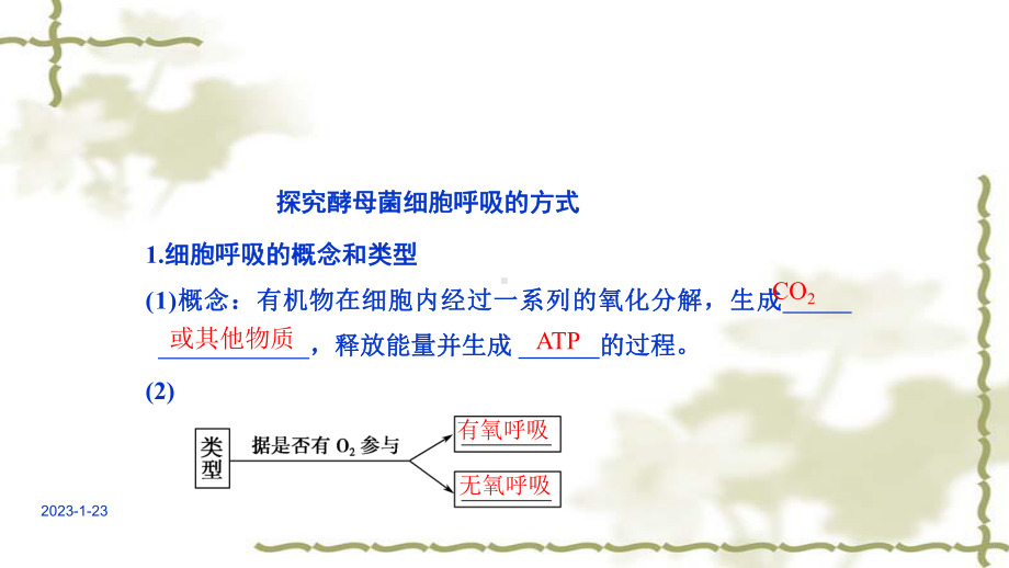 高考生物专题精讲课件5细胞呼吸.ppt_第2页