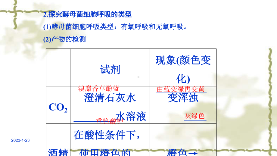 高考生物专题精讲课件5细胞呼吸.ppt_第3页