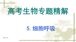 高考生物专题精讲课件5细胞呼吸.ppt