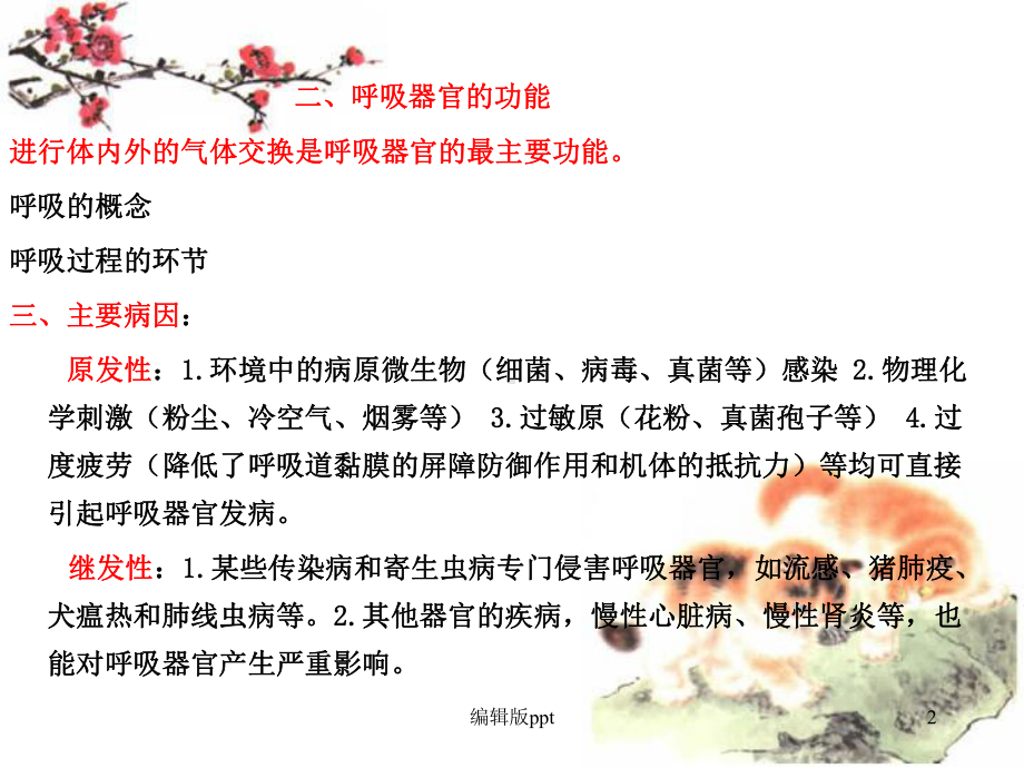 呼吸系统疾病的概述课件.ppt_第2页