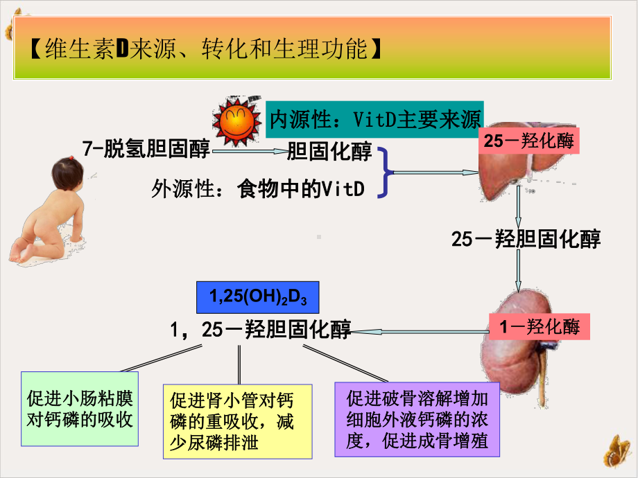 佝偻病的护理培训课件.ppt_第3页