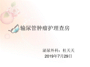 输尿管肿瘤护理查房课件.ppt