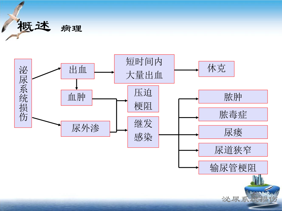 泌尿系统损伤作者不详课件.pptx_第2页