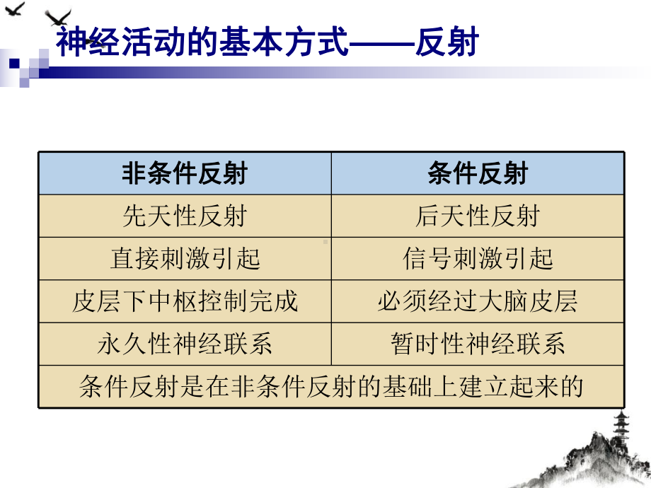 通过神经系统的调节课件.pptx_第3页