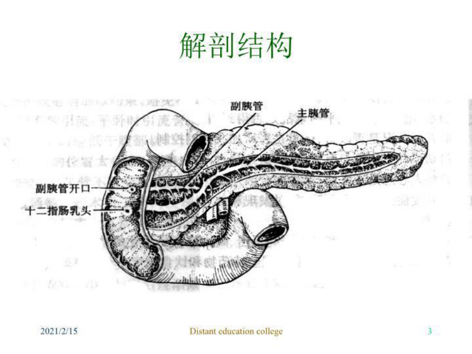 最新二十七章节胰腺疾病病人护理课件.ppt_第3页