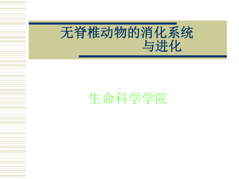 医学无脊椎动物的消化系统-与进化课件.ppt_第2页