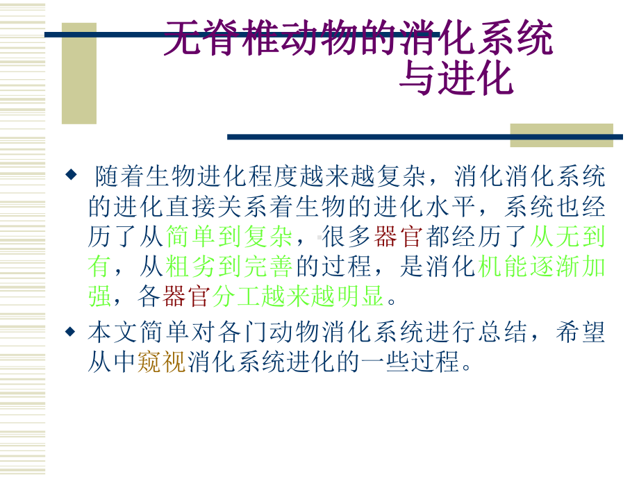 医学无脊椎动物的消化系统-与进化课件.ppt_第3页