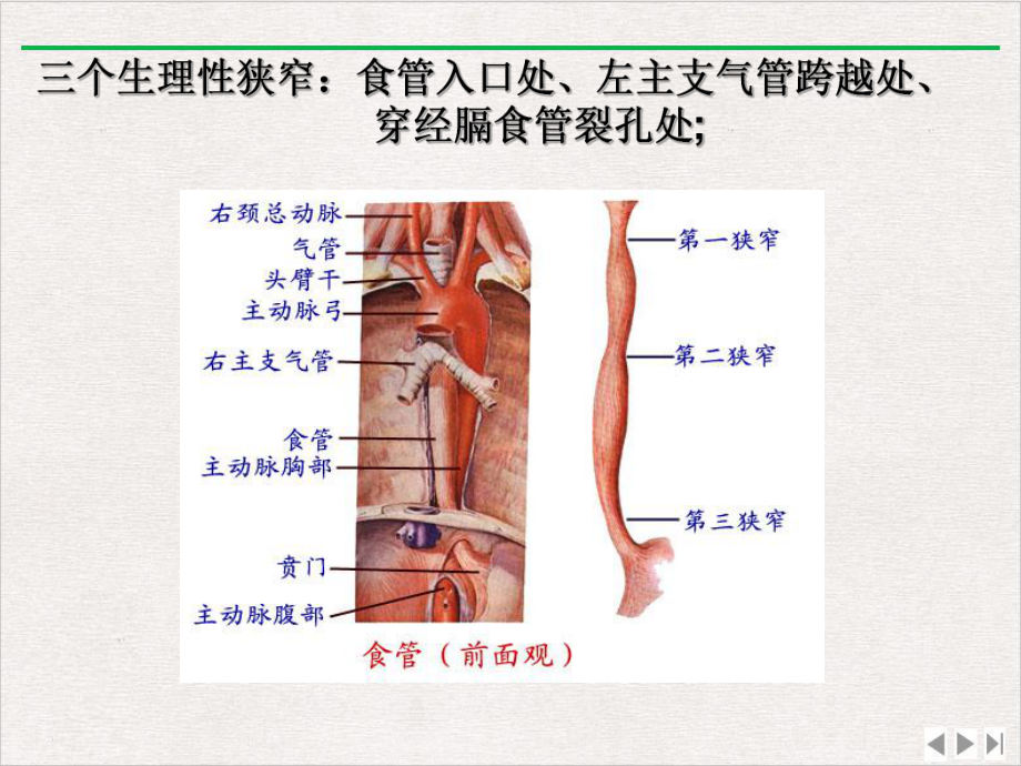 食管疾病课件整理.ppt_第2页