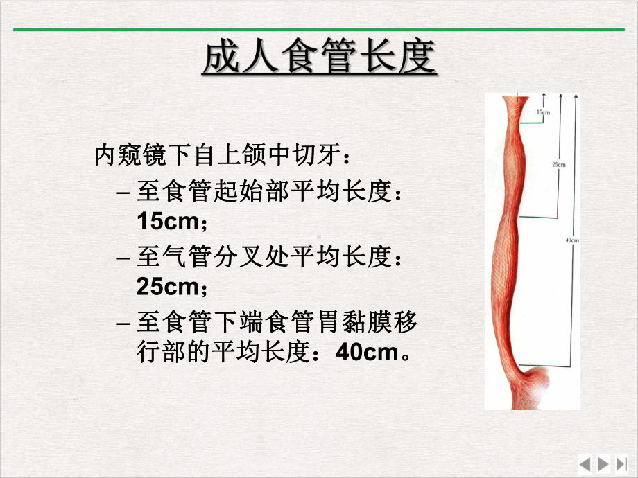 食管疾病课件整理.ppt_第3页