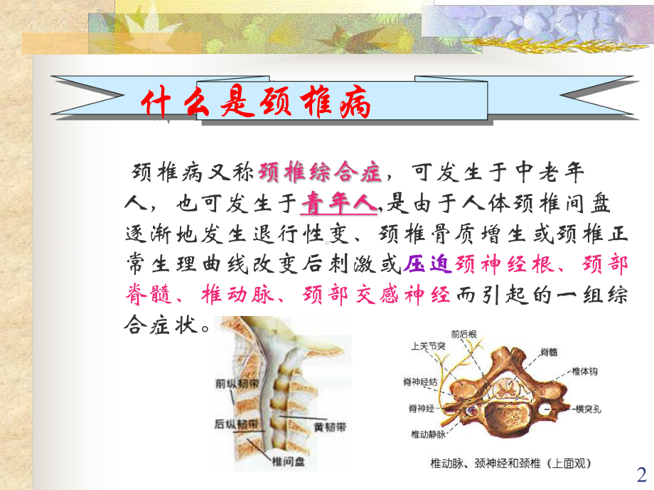 颈椎病保健操课件.ppt_第2页