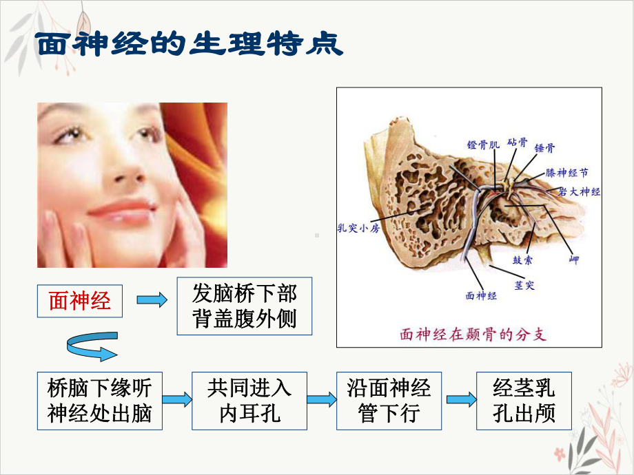 面神经炎中医治疗PPT课件.pptx_第1页